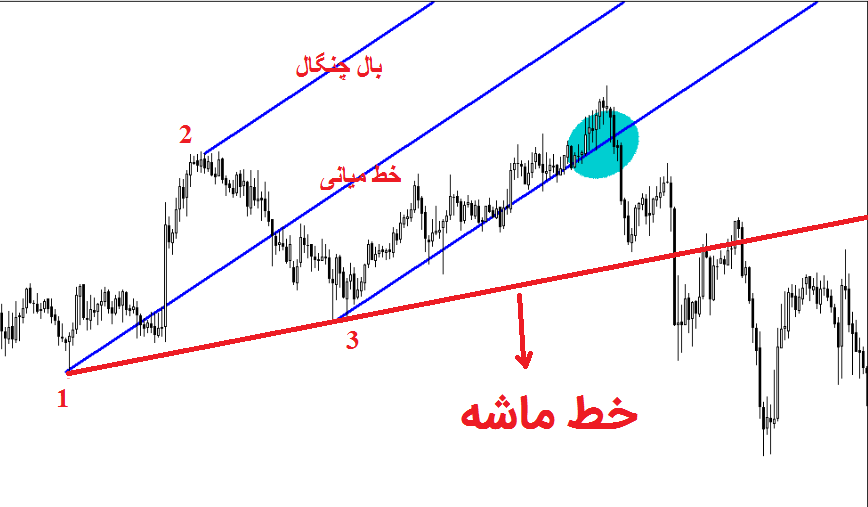 چنگال اندروز صعودی