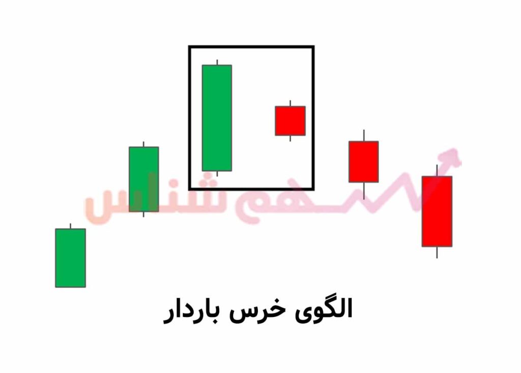 الگوی کندلی خرس باردار