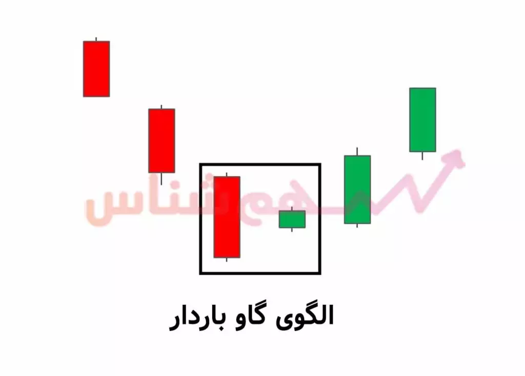 الگوی کندلی گاو ابستن